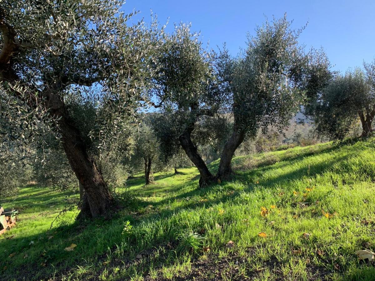 La Cianella - Adult Only Villa Scarlino Dış mekan fotoğraf